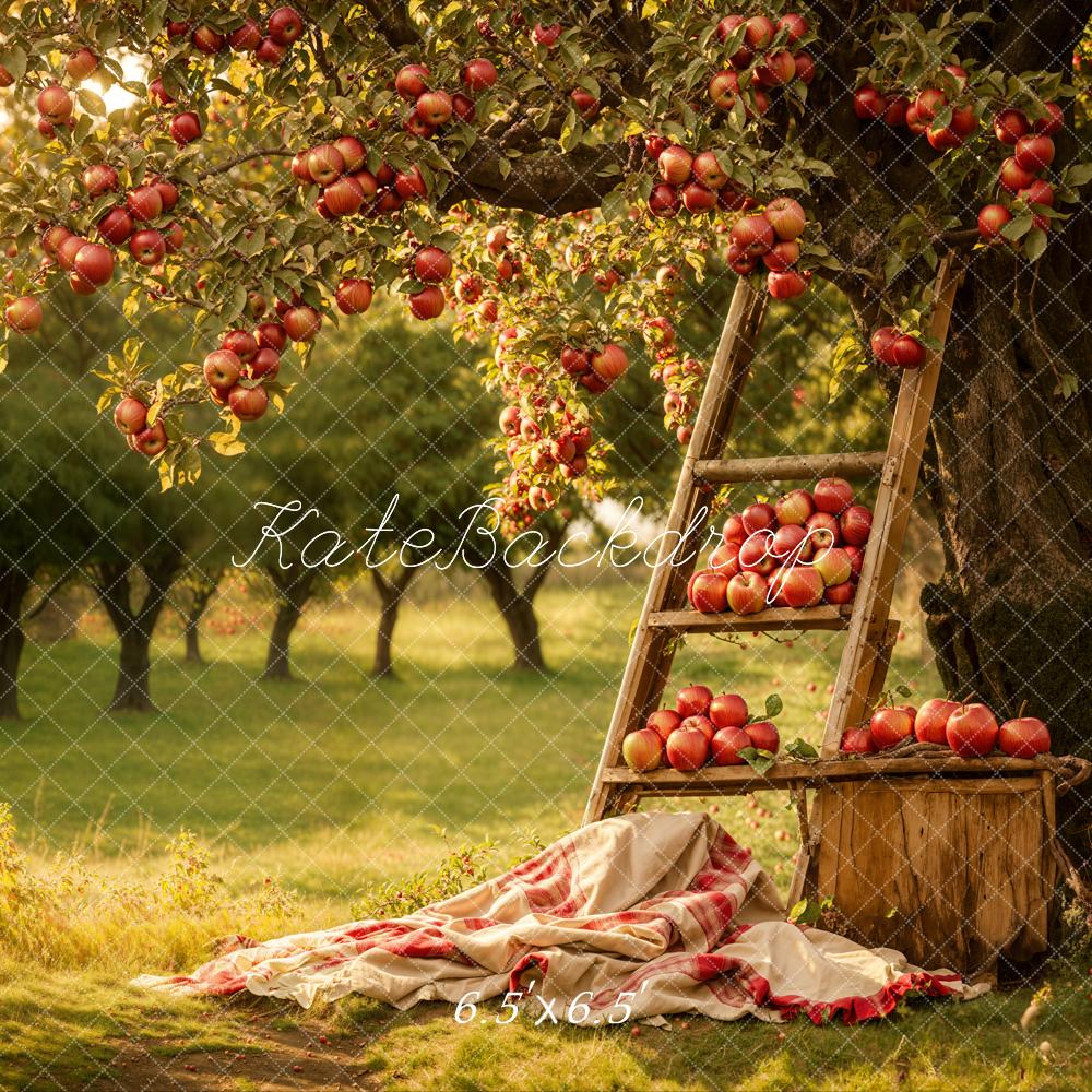 Kate Autumn Forest Red Apple Orchard Backdrop Designed by Emetselch - Image 2