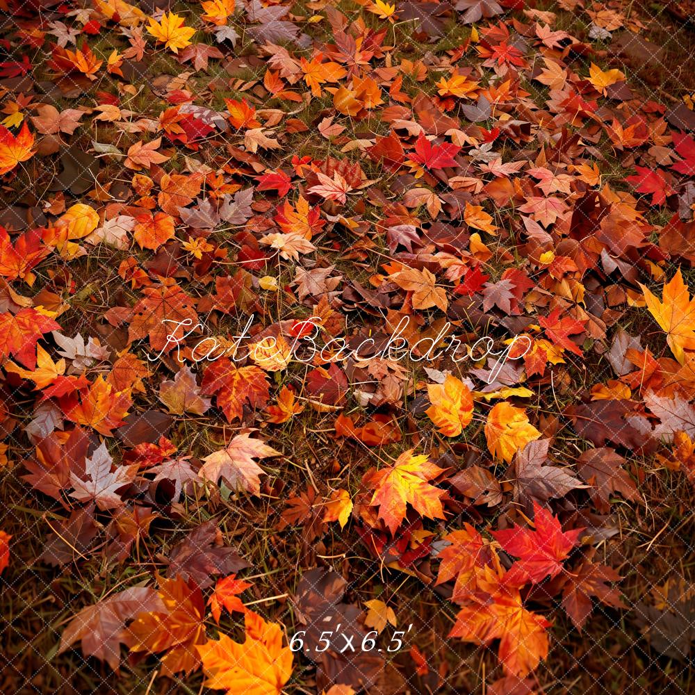 Kate Autumn Forest Red Maple Leaf Floor Backdrop Designed by Kate Image - Image 2