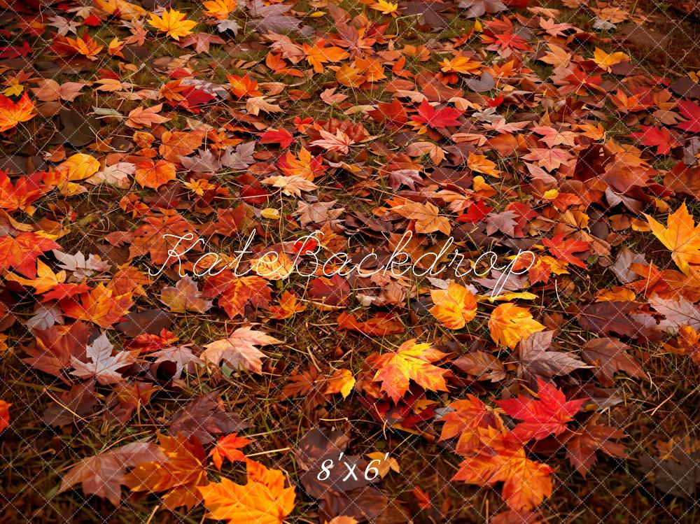 Kate Autumn Forest Red Maple Leaf Floor Backdrop Designed by Kate Image - Image 3