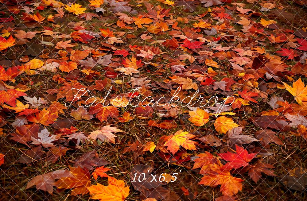 Kate Autumn Forest Red Maple Leaf Floor Backdrop Designed by Kate Image - Image 4