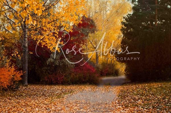 Kate Autumn Golden Leaves Backdrop Designed by Rose Abbas - Image 2