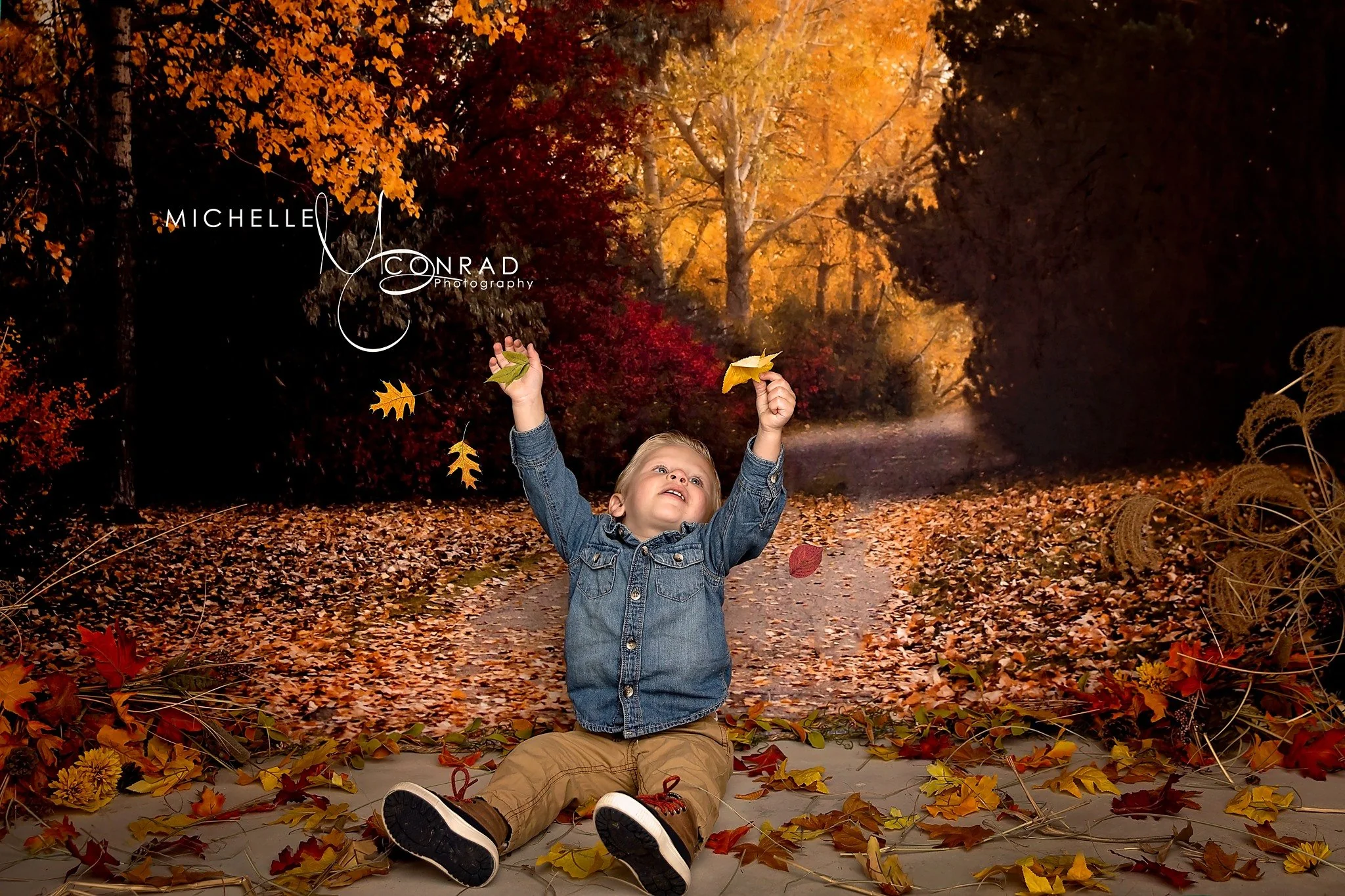 Kate Autumn Golden Leaves Backdrop Designed by Rose Abbas - Image 3