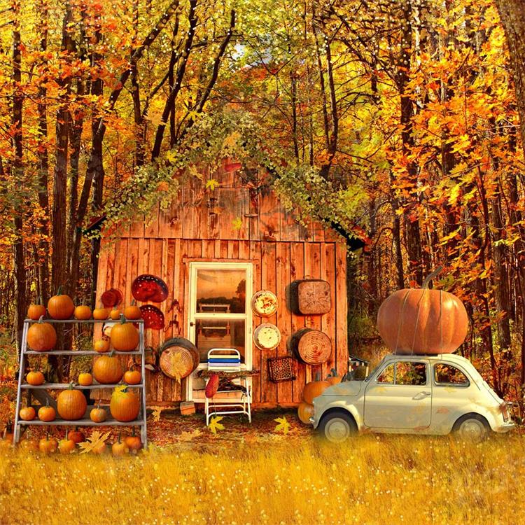 Kate Autumn Harvast Pumpkins House Backdrop for Photography - Image 2