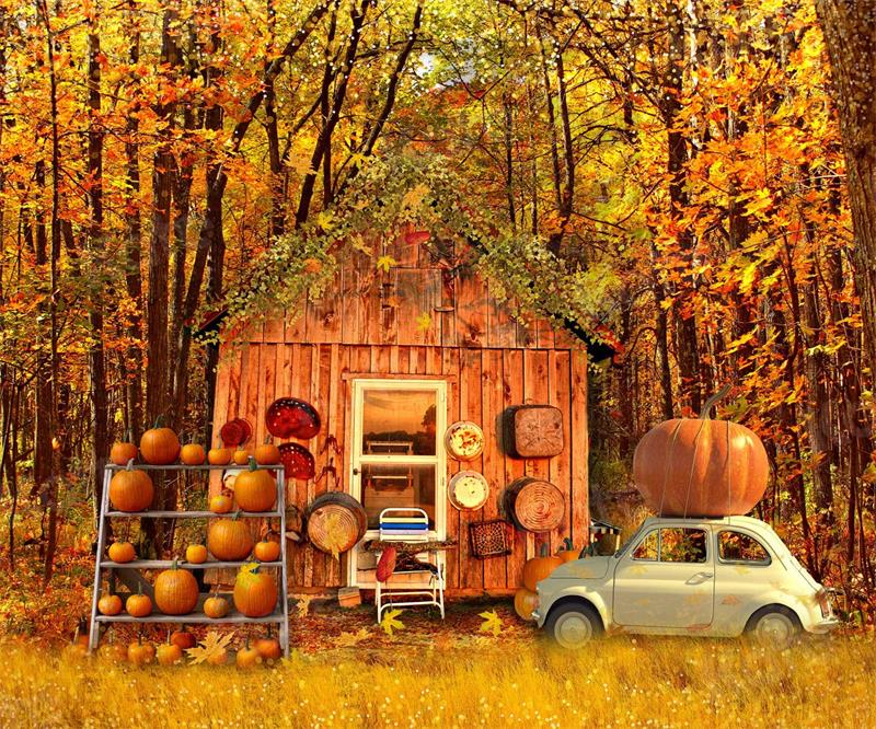 Kate Autumn Harvast Pumpkins House Backdrop for Photography - Image 3