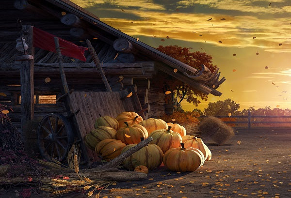 Kate Autumn Harvest Pumpkins Sunset Fallen Leaves Backdrop for Photography - Image 2