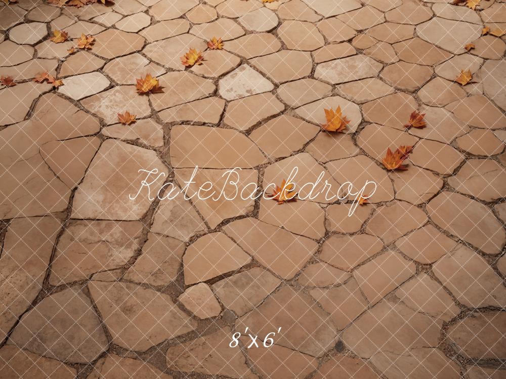 Kate Autumn Leaves Cobblestone Ground Floor Backdrop Designed by Emetselch - Image 3