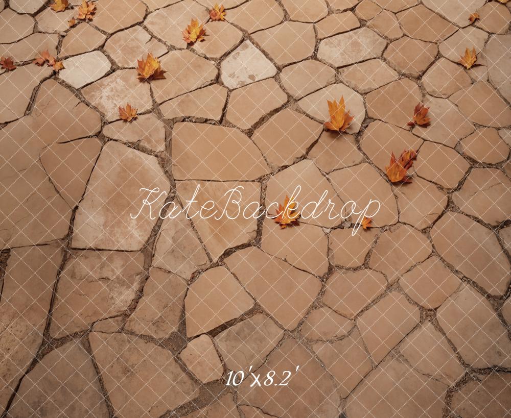 Kate Autumn Leaves Cobblestone Ground Floor Backdrop Designed by Emetselch - Image 6