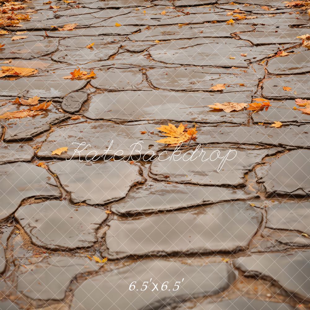 Kate Autumn Leaves Gray Cobblestone Road Floor Backdrop Designed by Emetselch - Image 2