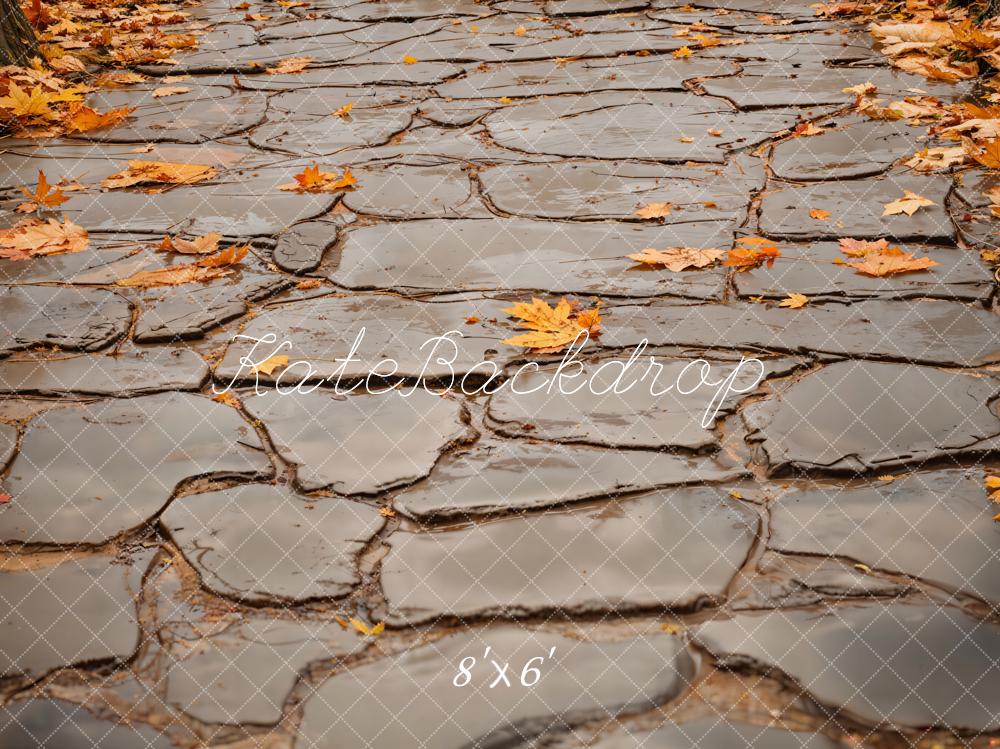 Kate Autumn Leaves Gray Cobblestone Road Floor Backdrop Designed by Emetselch - Image 3
