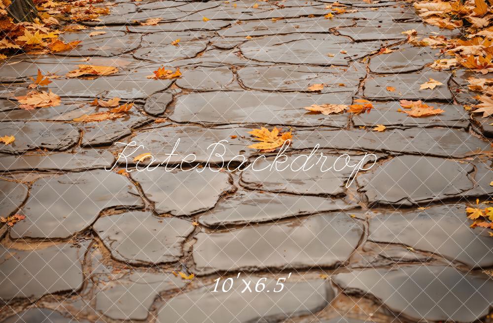 Kate Autumn Leaves Gray Cobblestone Road Floor Backdrop Designed by Emetselch - Image 4
