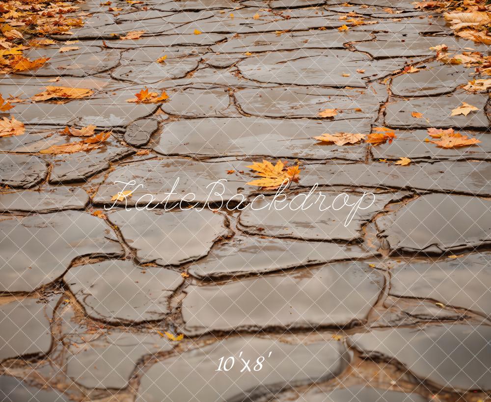 Kate Autumn Leaves Gray Cobblestone Road Floor Backdrop Designed by Emetselch - Image 6