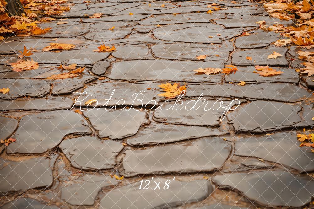 Kate Autumn Leaves Gray Cobblestone Road Floor Backdrop Designed by Emetselch - Image 7