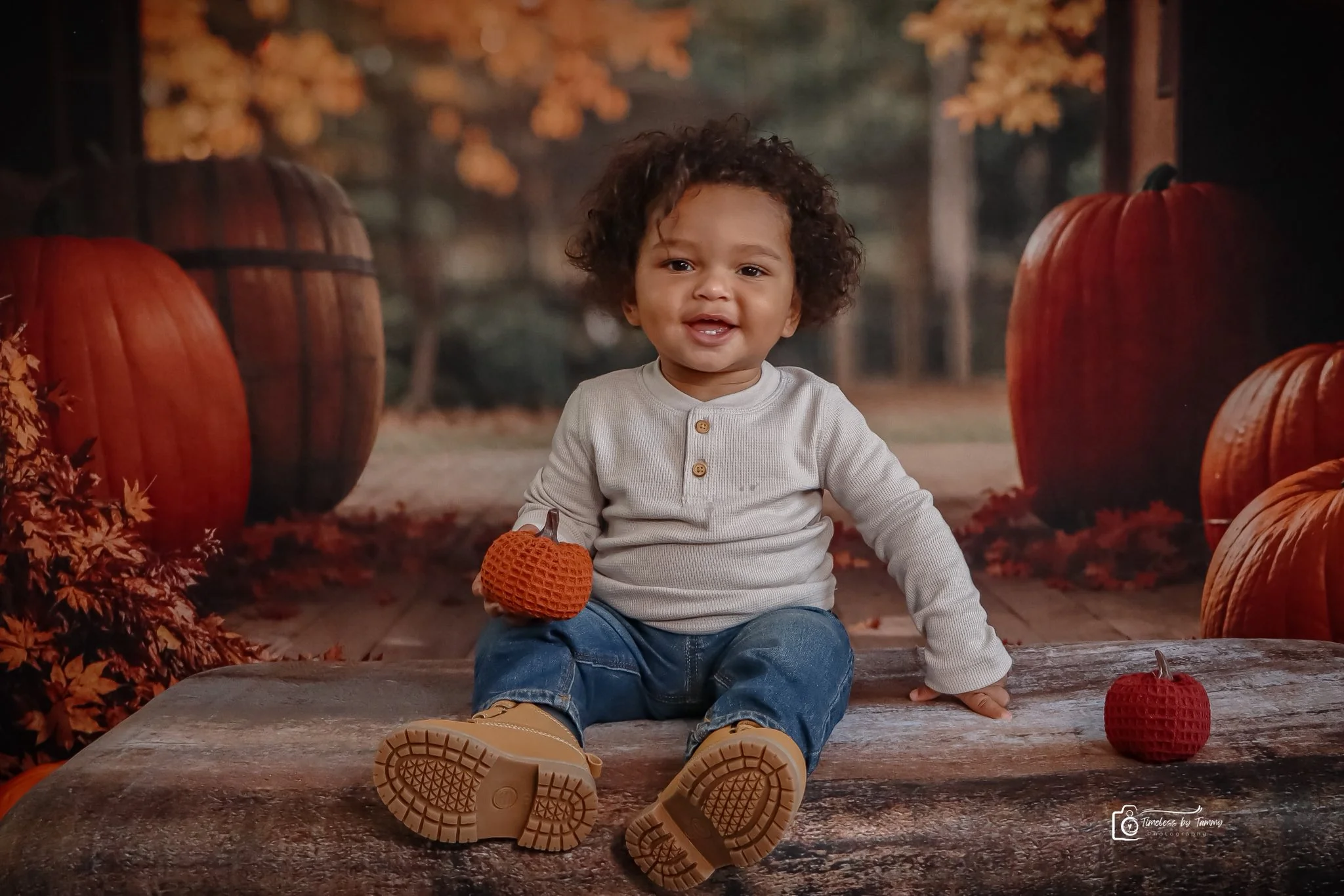 Kate Autumn Leaves Pumpkin Barn Lights Backdrop Designed by Emetselch - Image 5