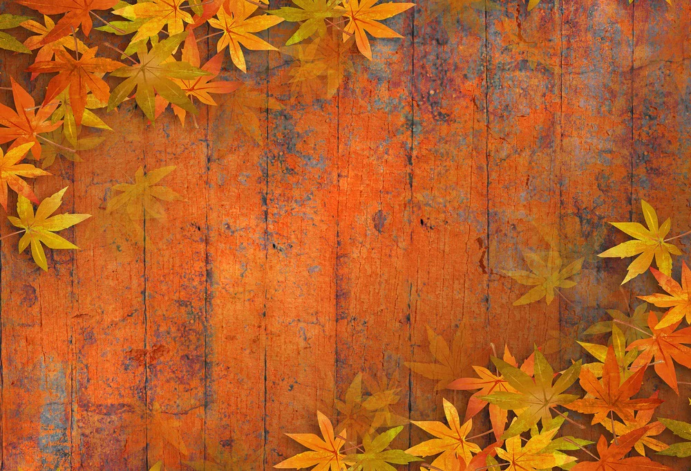 Kate Autumn Maple Leaf Wooden Backdrops for Photography - Image 2
