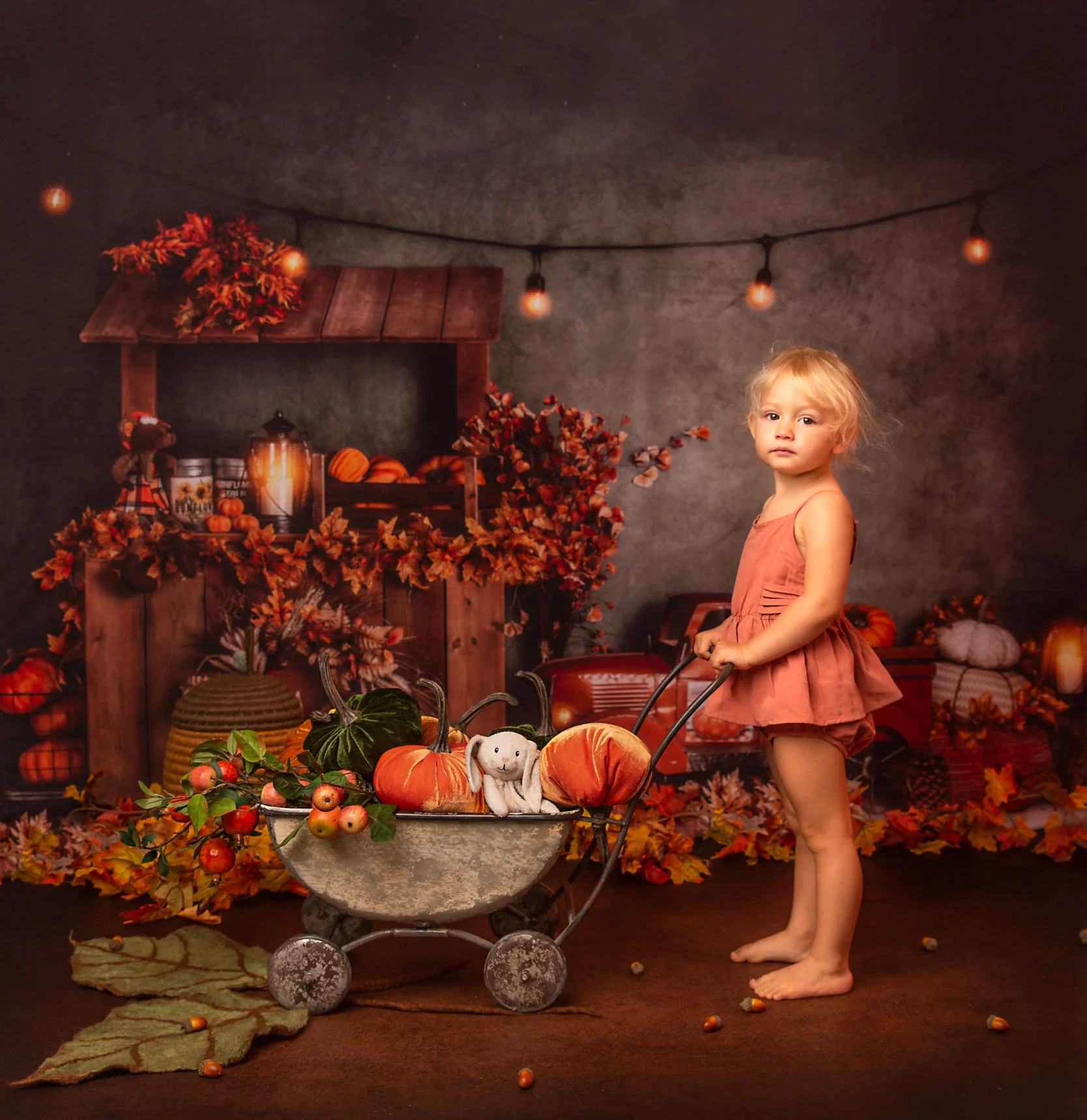 Kate Autumn Market With Truck Harvast Backdrop Designed By Rose Abbas - Image 3