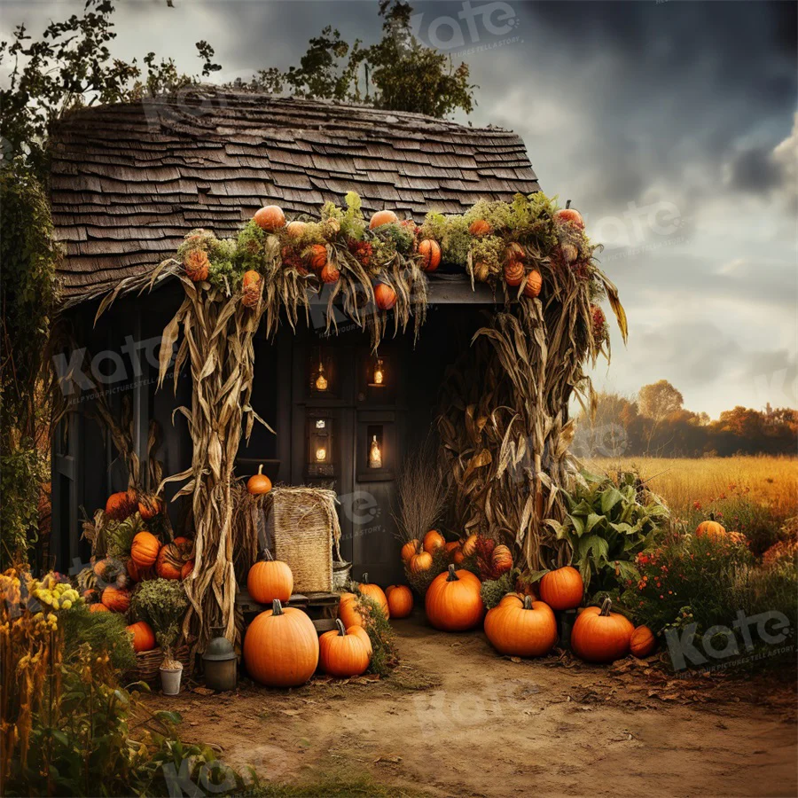Kate Autumn Old Pumpkin House Backdrop for Photography - Image 2