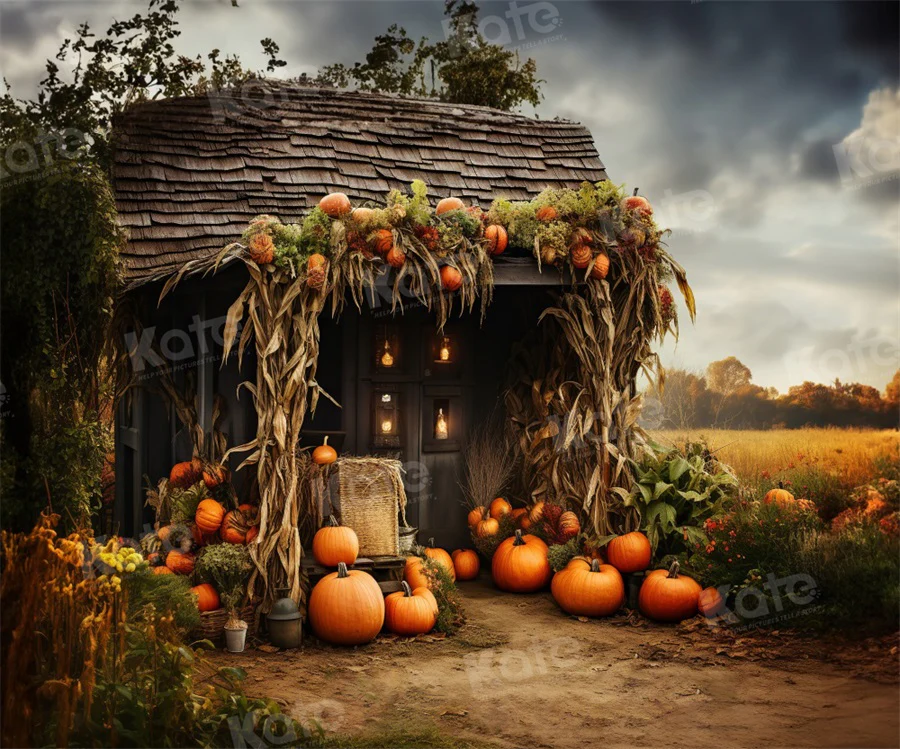 Kate Autumn Old Pumpkin House Backdrop for Photography - Image 3