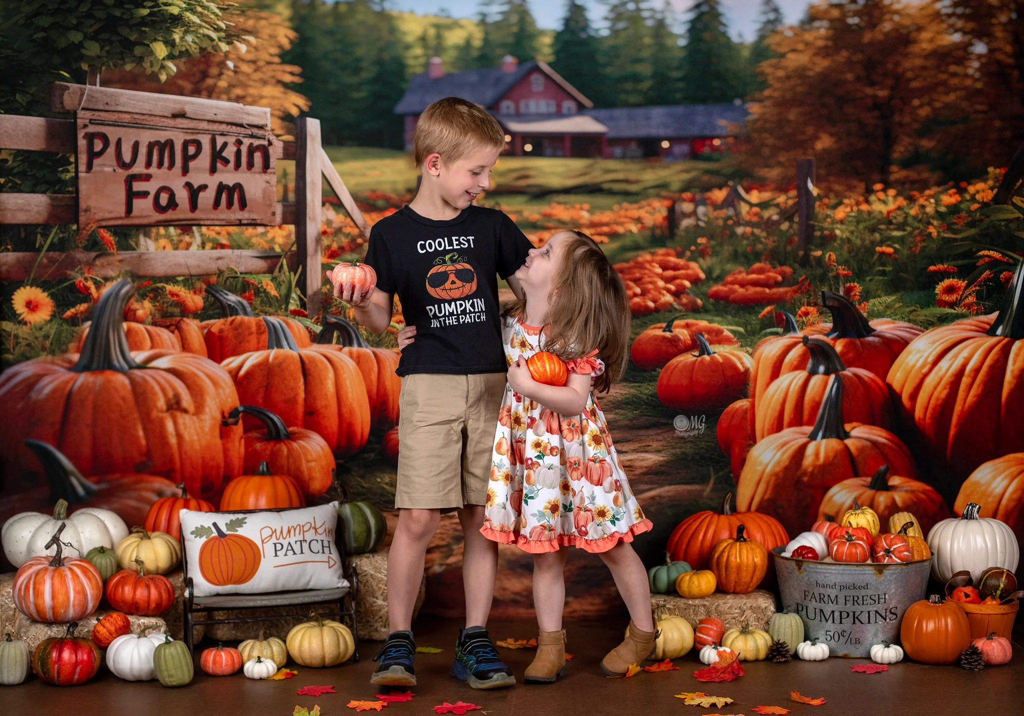 Kate Autumn Pumpkin Farm Backdrop Designed by Emetselch - Image 3
