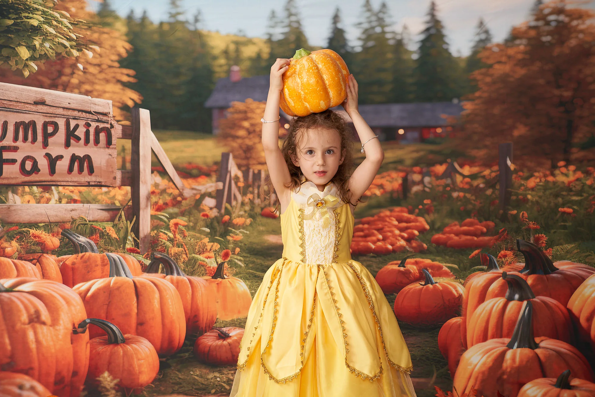Kate Autumn Pumpkin Farm Backdrop Designed by Emetselch - Image 4
