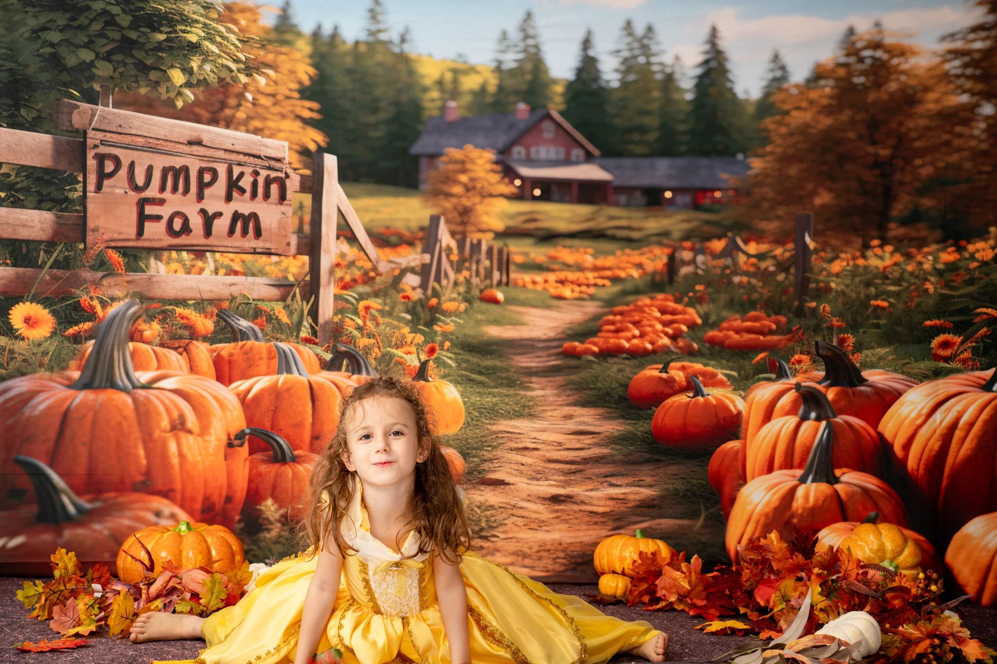 Kate Autumn Pumpkin Farm Backdrop Designed by Emetselch - Image 5
