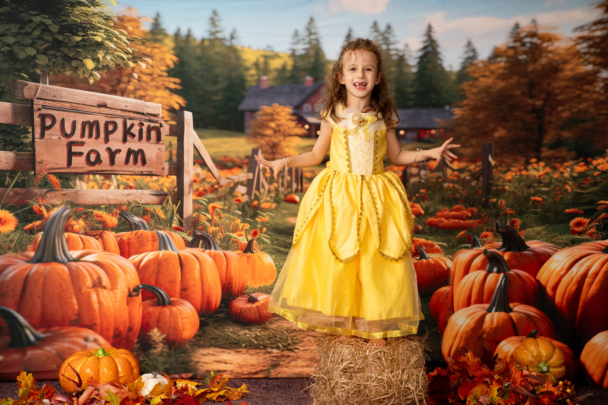Kate Autumn Pumpkin Farm Backdrop Designed by Emetselch - Image 6