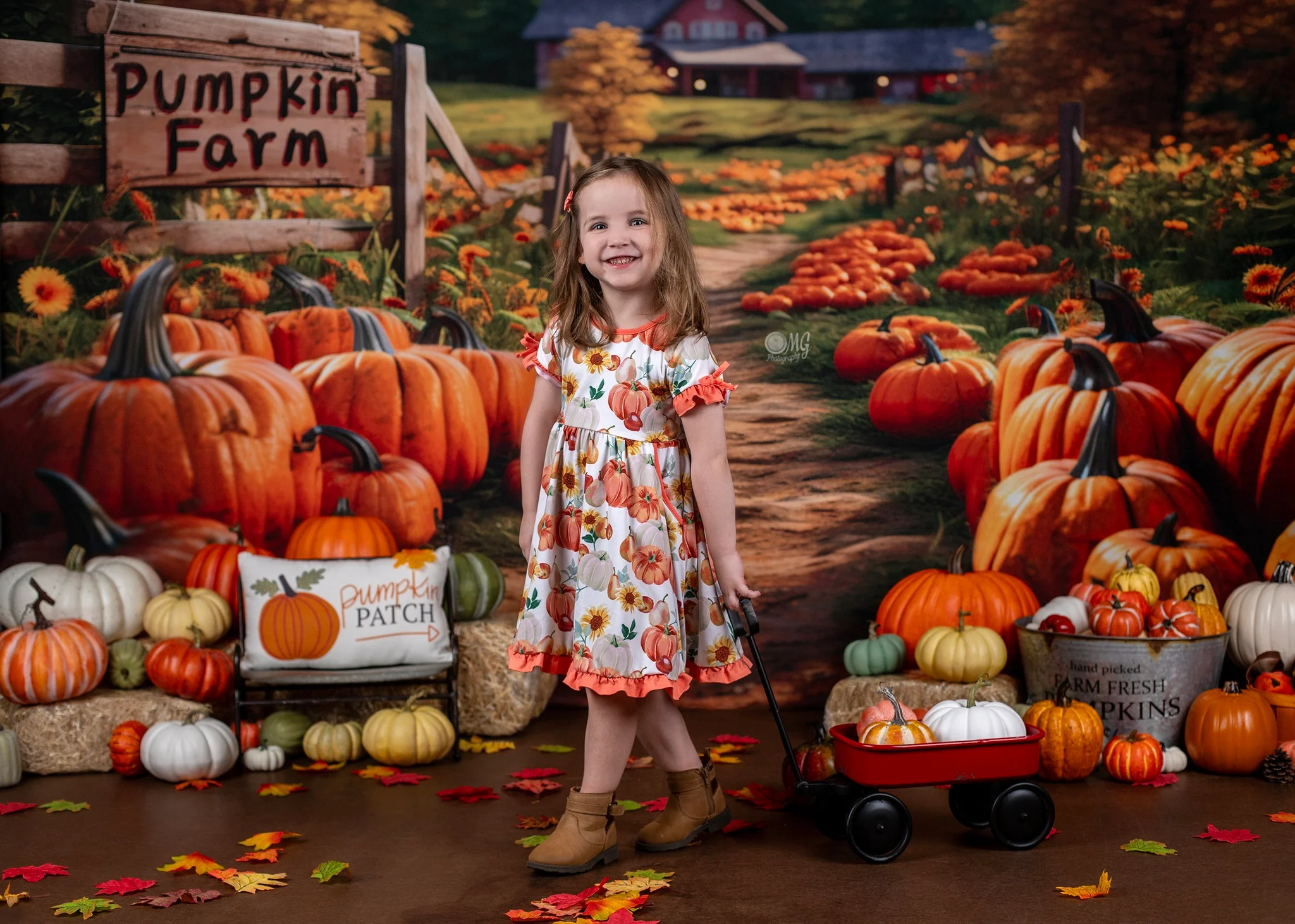Kate Autumn Pumpkin Farm Backdrop Designed by Emetselch - Image 9