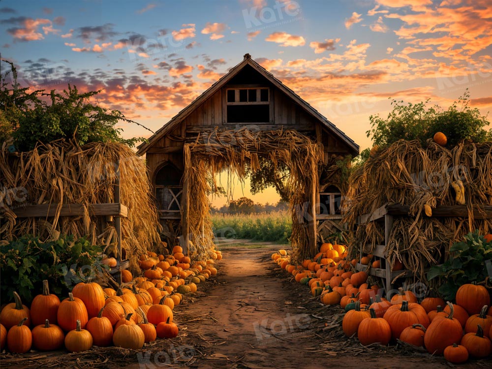 Kate Autumn Pumpkin Farm Backdrop for Photography - Image 10