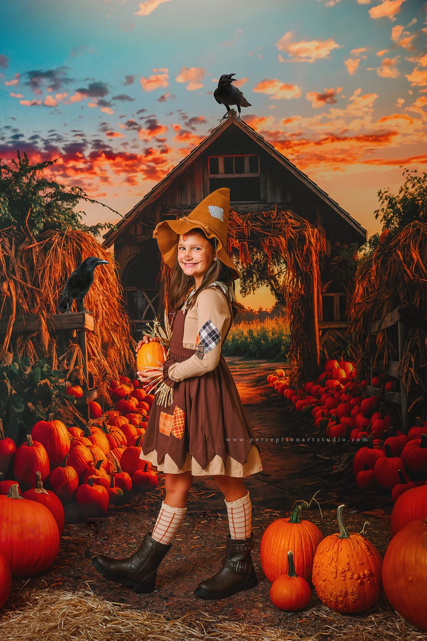 Kate Autumn Pumpkin Farm Backdrop for Photography - Image 3