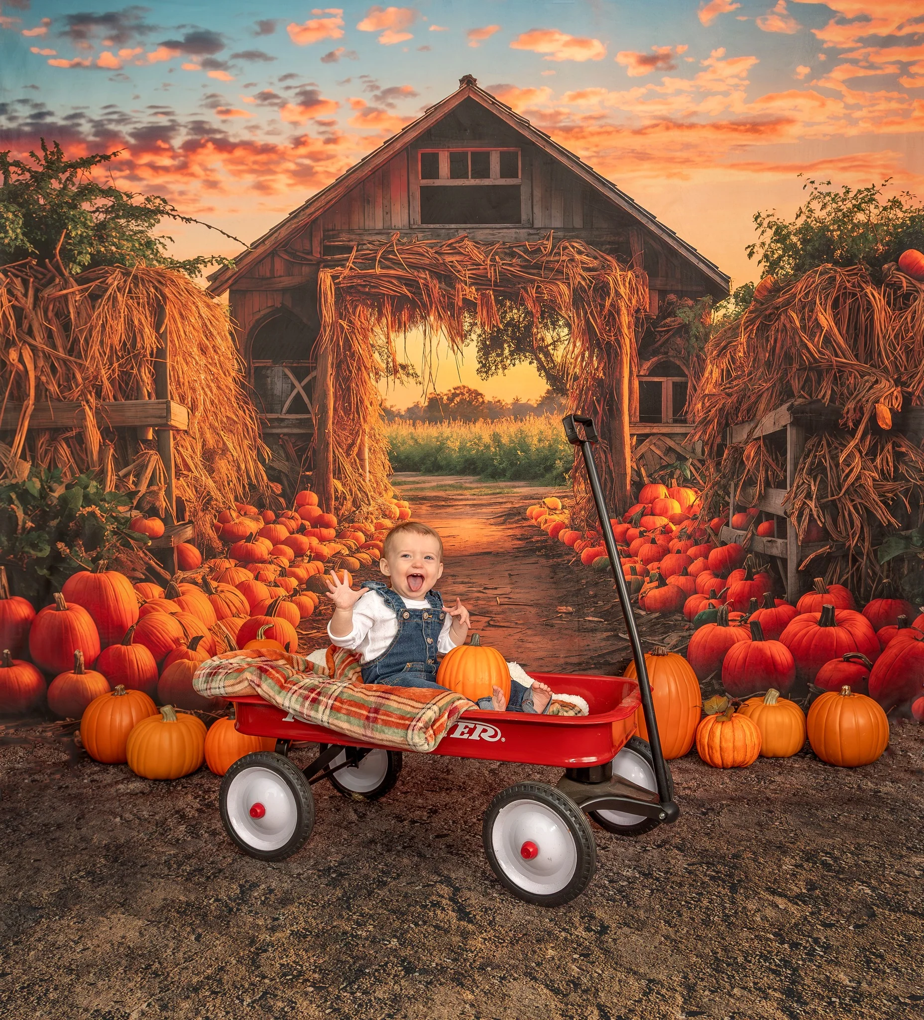 Kate Autumn Pumpkin Farm Backdrop for Photography - Image 7