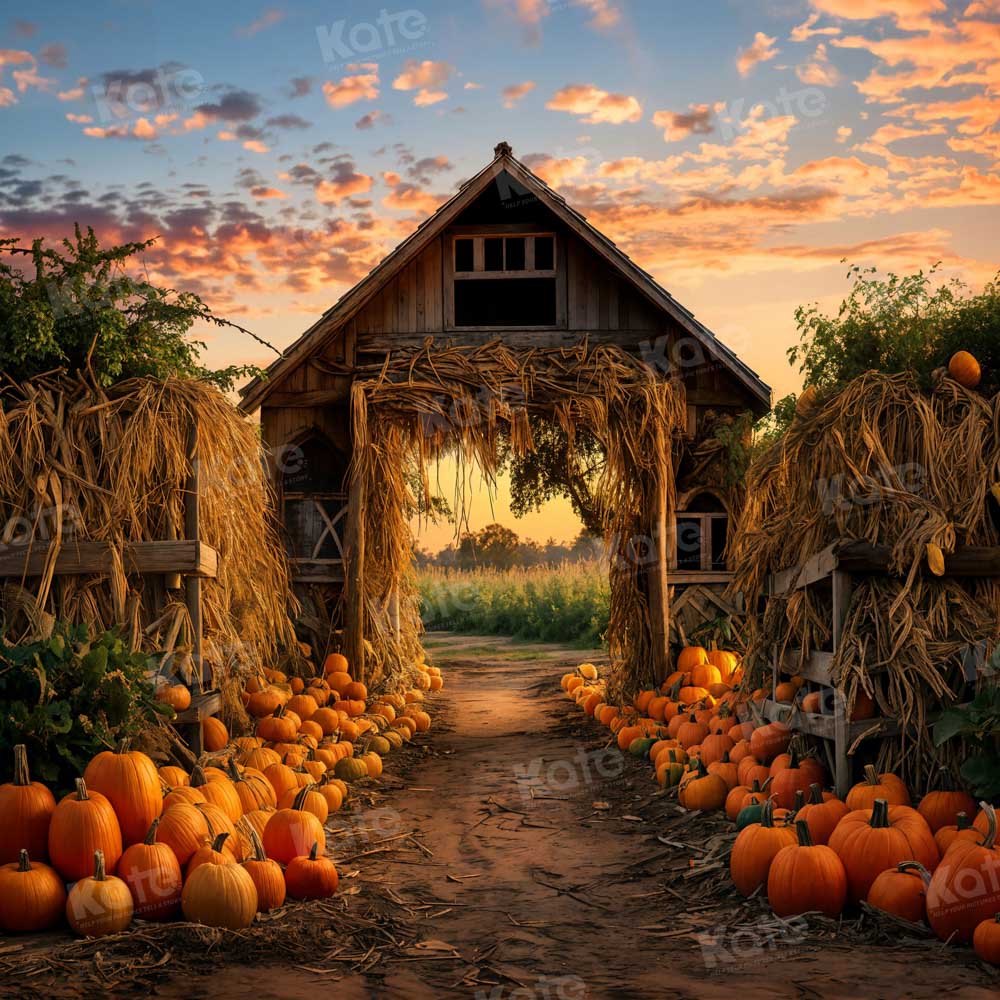 Kate Autumn Pumpkin Farm Backdrop for Photography - Image 8