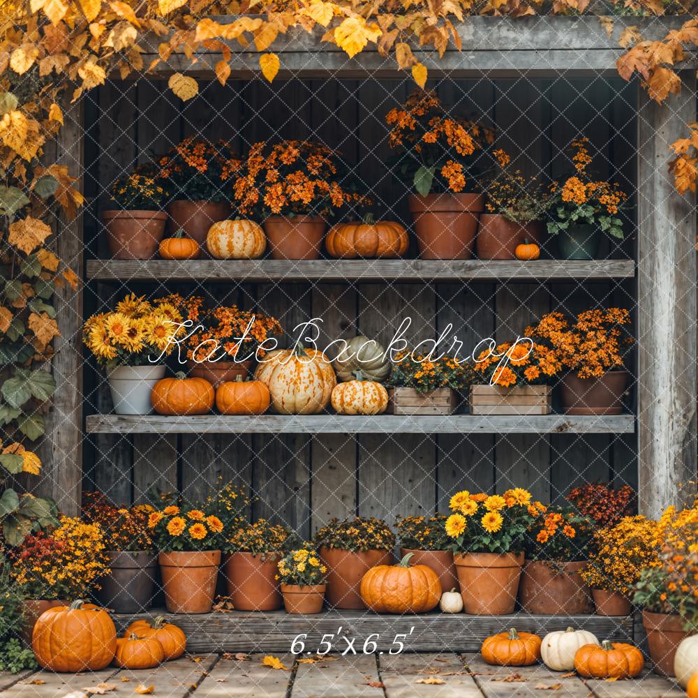 Kate Autumn Pumpkin Shelf Maple Backdrop Designed by Emetselch - Image 2