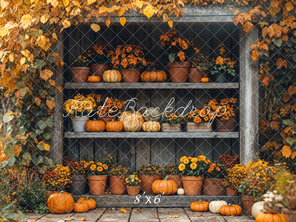 Kate Autumn Pumpkin Shelf Maple Backdrop Designed by Emetselch - Image 3