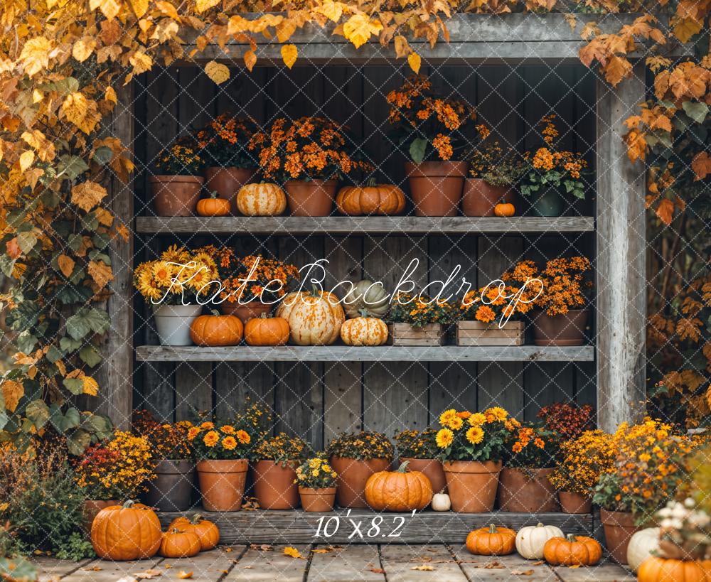 Kate Autumn Pumpkin Shelf Maple Backdrop Designed by Emetselch - Image 5