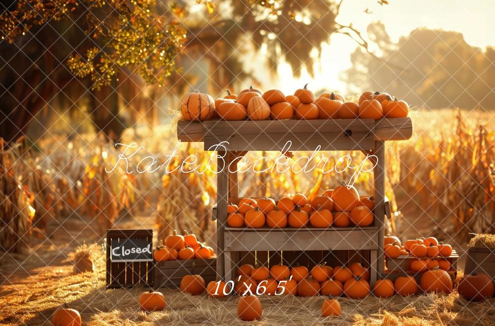 Kate Autumn Pumpkin Stand Harvest Field Backdrop Designed by Patty Robert - Image 4