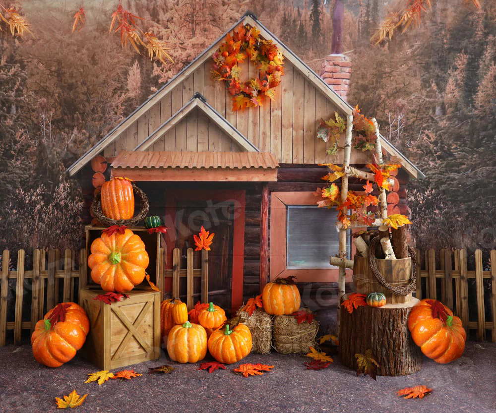 Kate Autumn Pumpkins Farm Ladder Backdrop for Photography - Image 3