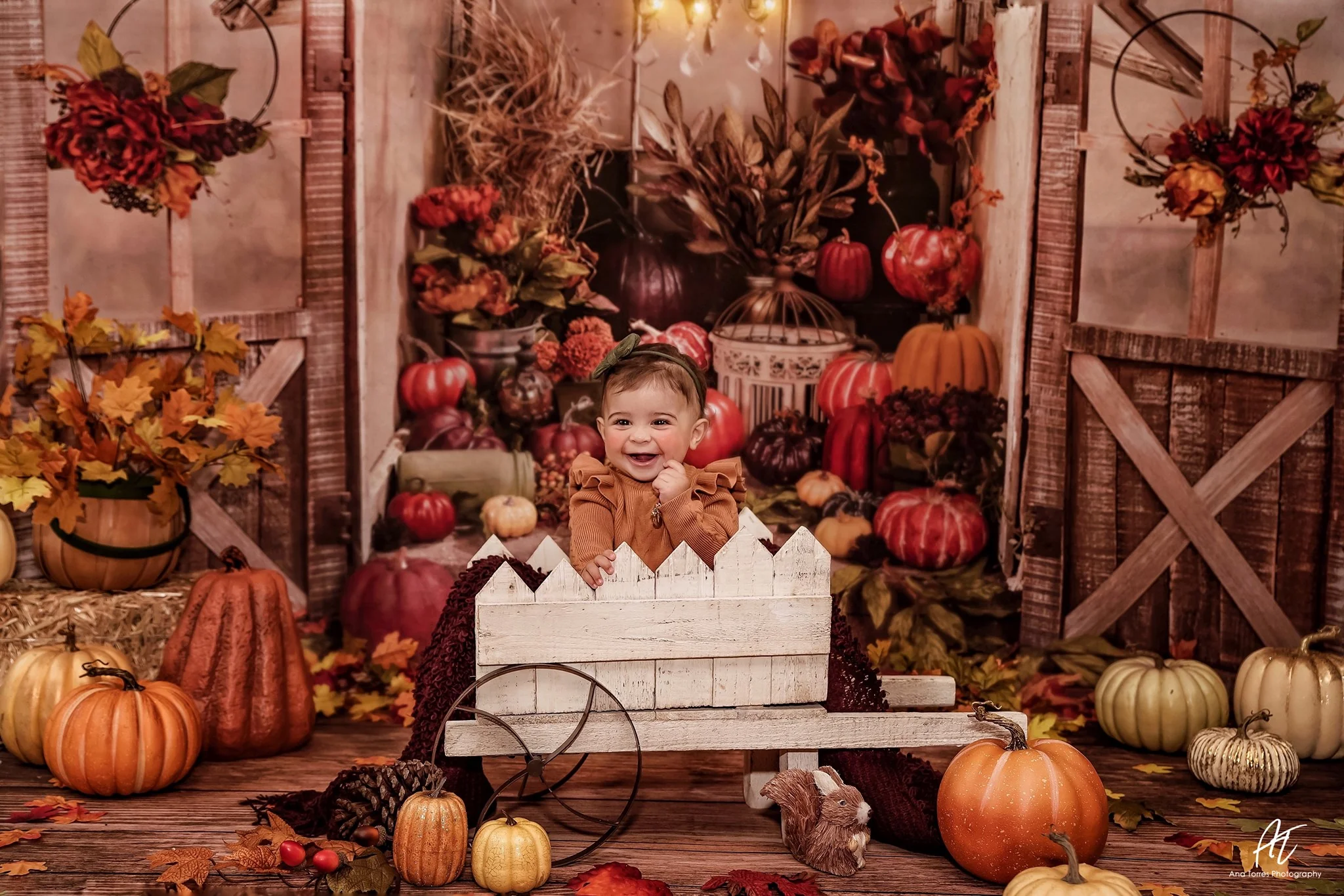 Kate Autumn Pumpkins Greenhouse Backdrop designed by Arica Kirby - Image 3
