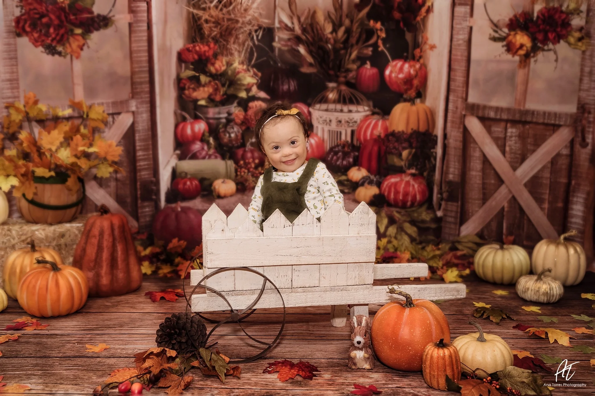 Kate Autumn Pumpkins Greenhouse Backdrop designed by Arica Kirby - Image 5