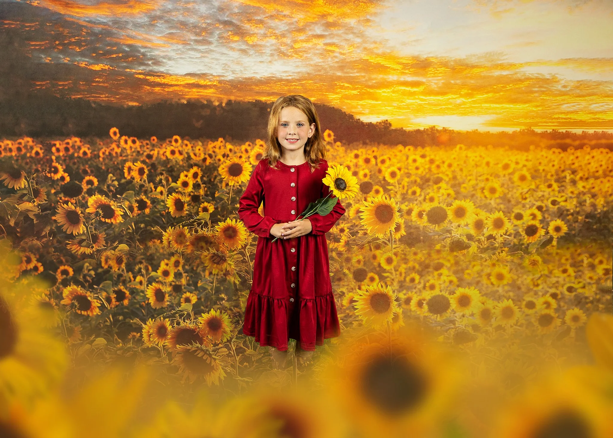 Kate Autumn/Summer Sunflower Field Sunset Backdrop by Chain Photography - Image 3