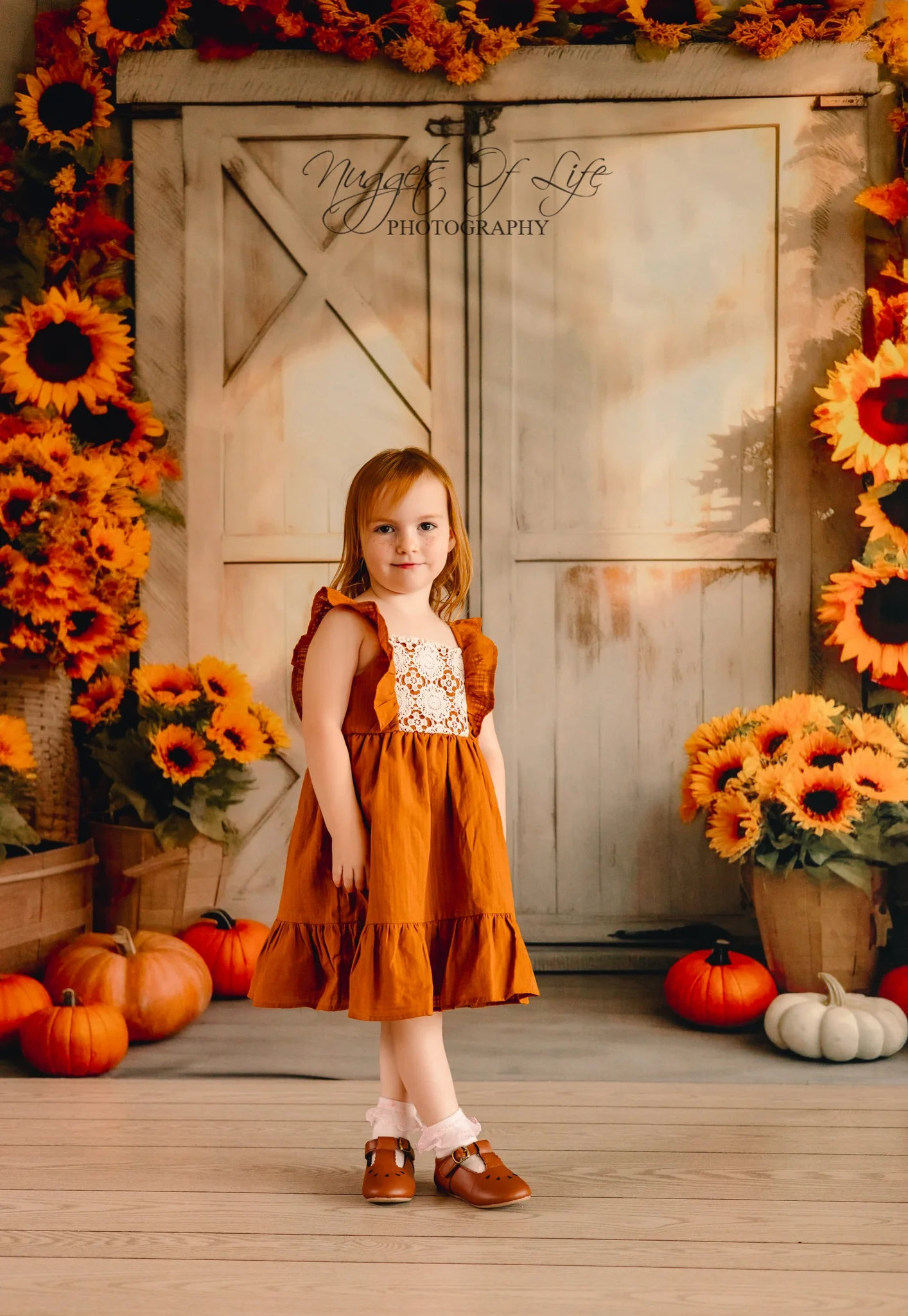 Kate Autumn Sunflower Pumpkin Barn Door Backdrop Designed by Chain Photography - Image 3