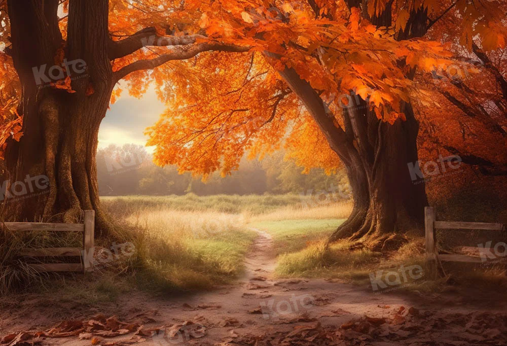 Kate Autumn Tree Backdrop for Photography - Image 2