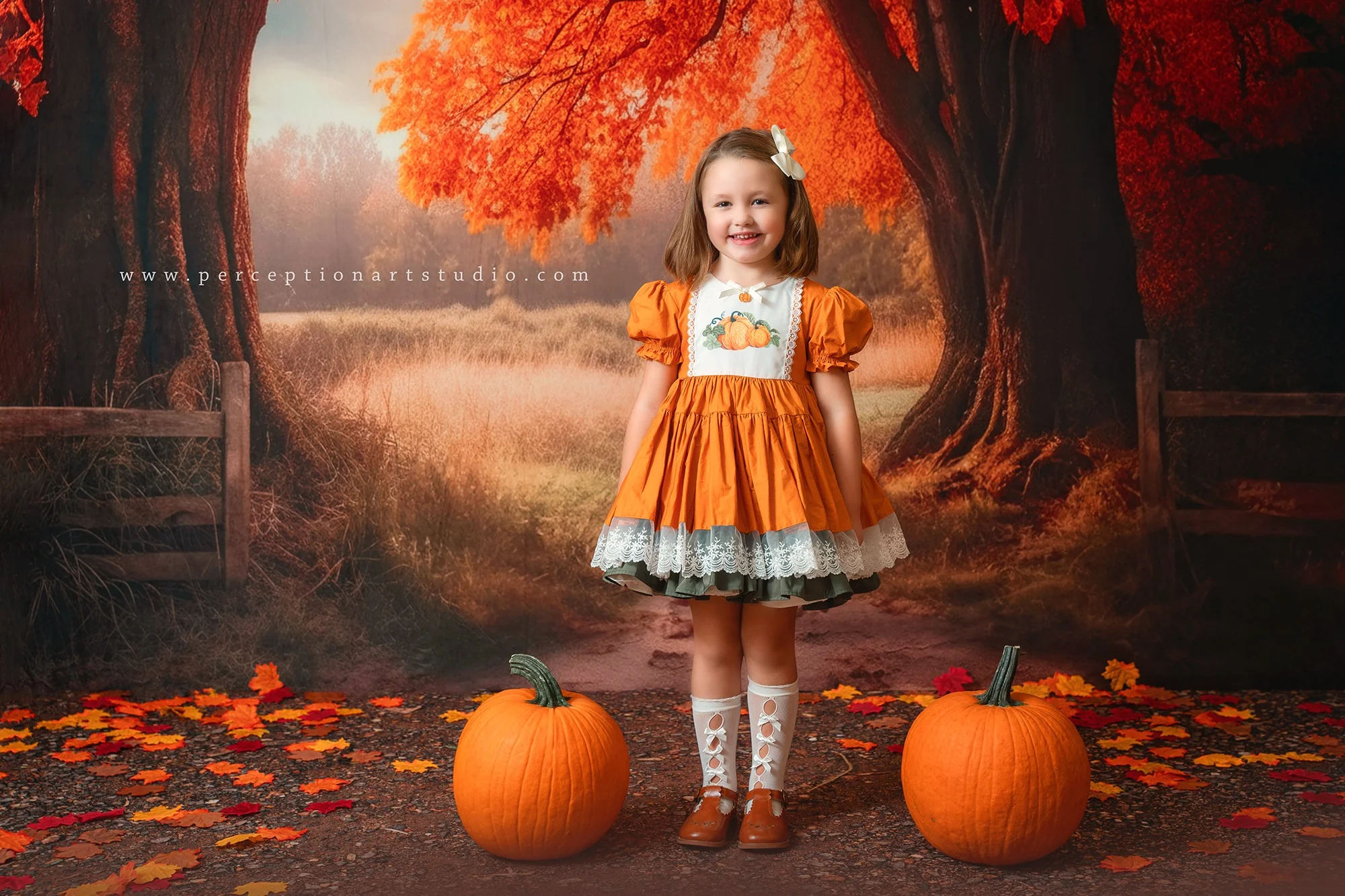 Kate Autumn Tree Backdrop for Photography - Image 4