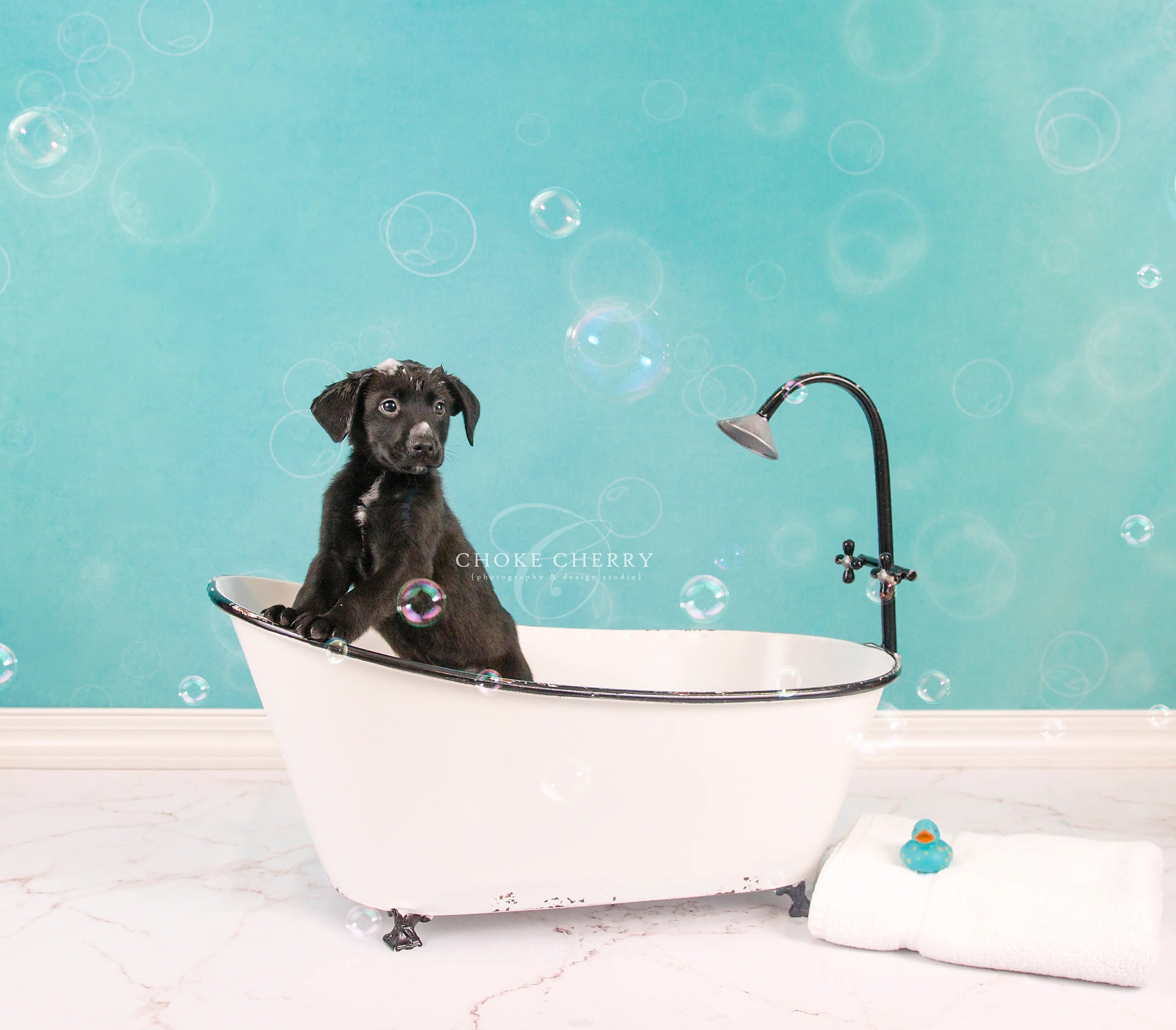 Kate Baby Shower Bubbles Backdrop for Photography Designed by Mini MakeBelieve - Image 3