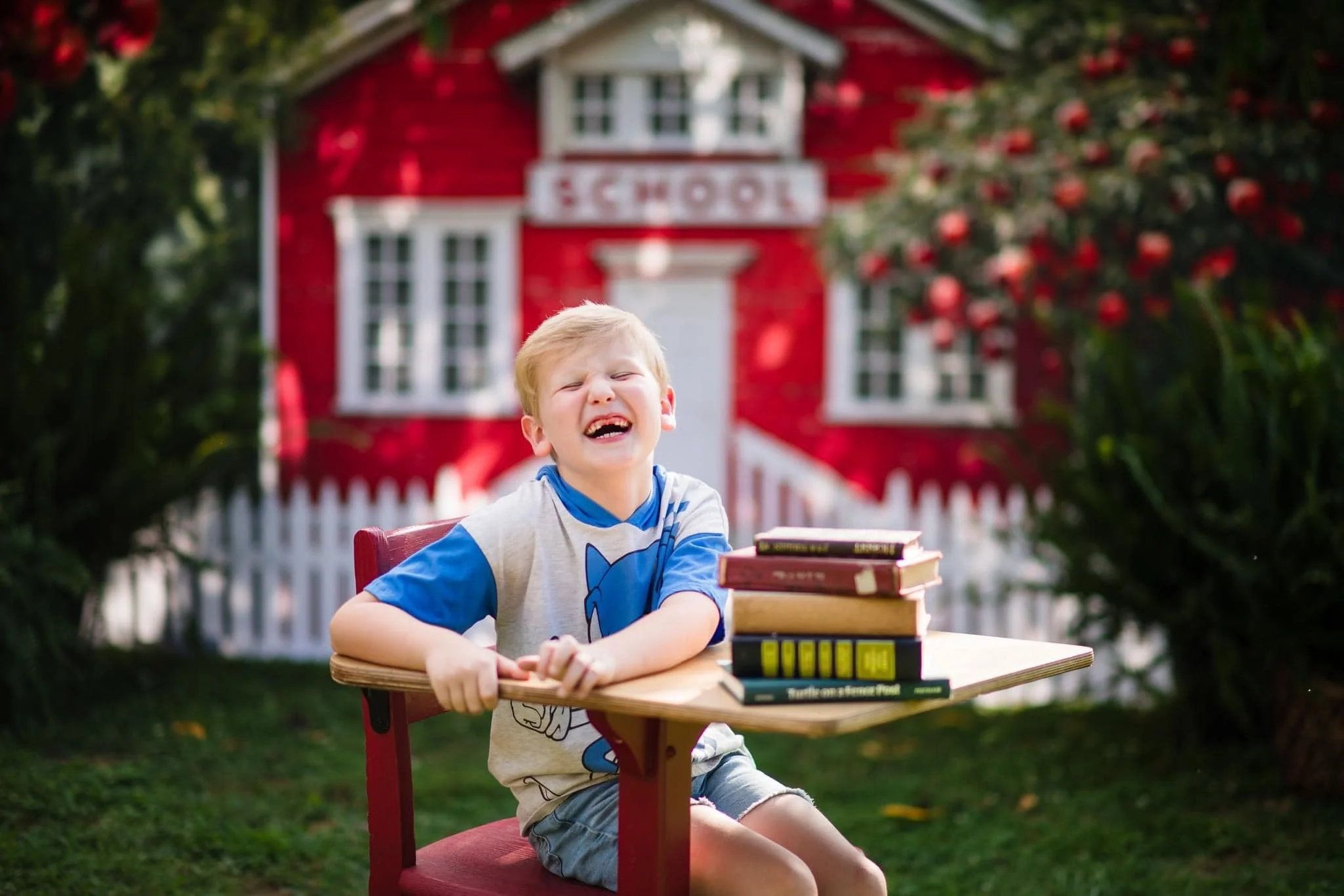 Kate Back to School Red House Apple Tree Fence Backdrop Designed by Chain Photography - Image 4