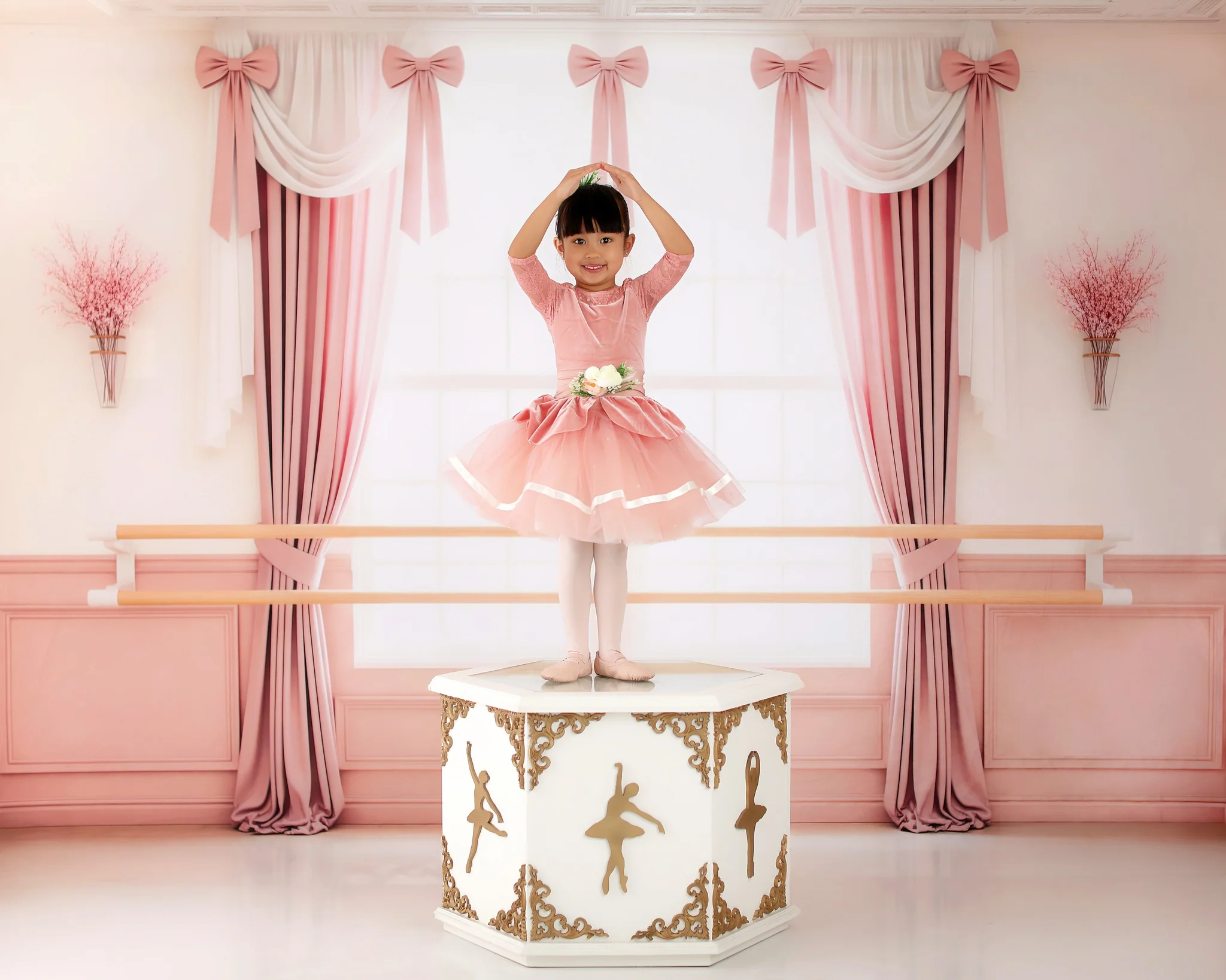 Kate Ballet Barre Pink Curtains Window Backdrop Designed by Patty Robert - Image 3