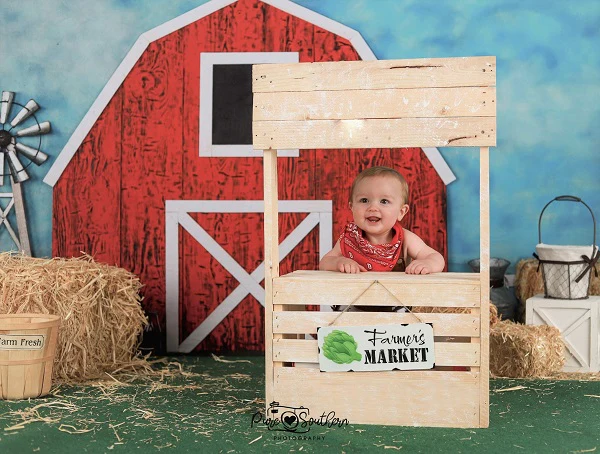 Kate Barnyard Fun Children Summer Backdrops Designed by Arica Kirby - Image 6