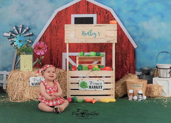 Kate Barnyard Fun Children Summer Backdrops Designed by Arica Kirby - Image 7