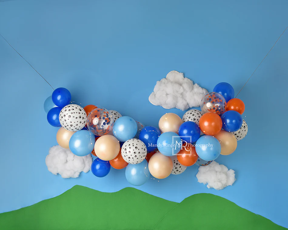 Kate Blue Dog Birthday Children Backdrop Designed by Mandy Ringe Photography - Image 4