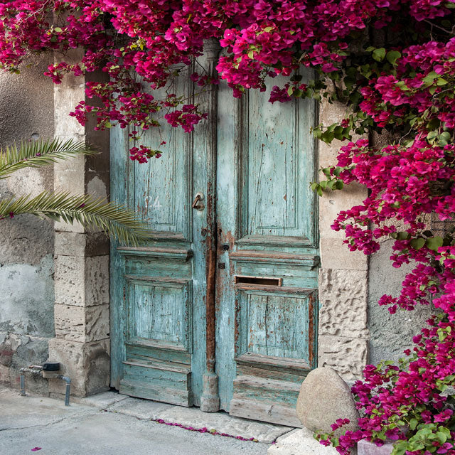 Kate Blue Door Red Floral Scenery Concrete Backdrop for Couple Photography - Image 3