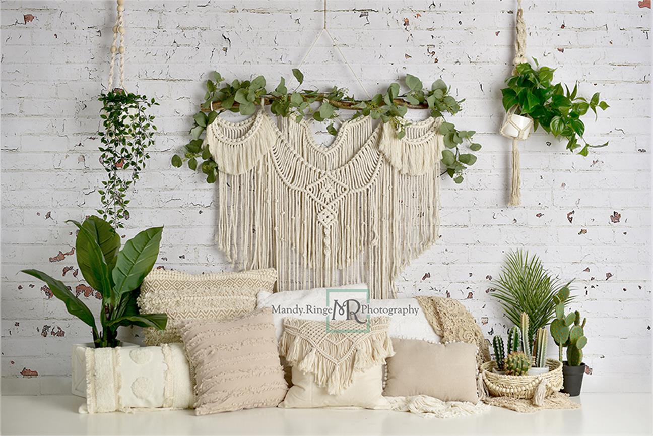 Kate Boho Macrame Pillows with Plants Backdrop Designed By Mandy Ringe Photography - Image 2