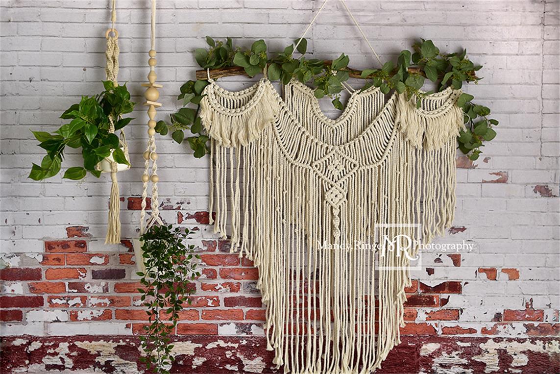 Kate Boho Macrame Wall with Plants Backdrop Designed By Mandy Ringe Photography - Image 2